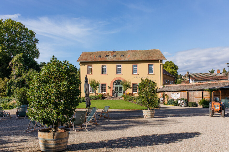Photo 4 of Weingut Dr. Bürklin-Wolf