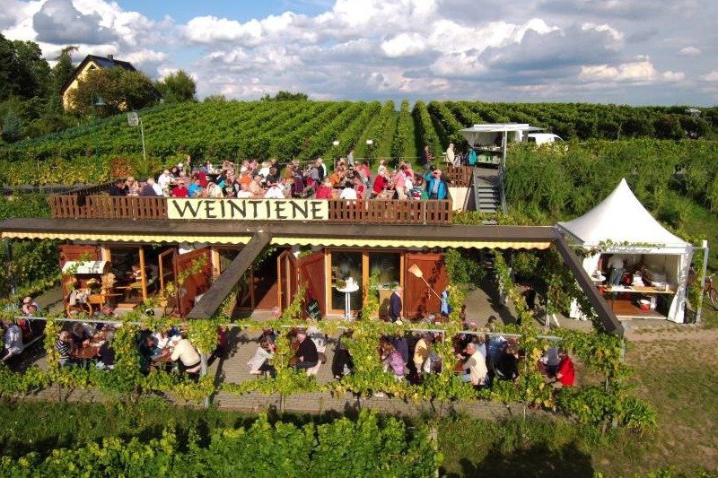Foto 5 von Weingut Dr. Hage