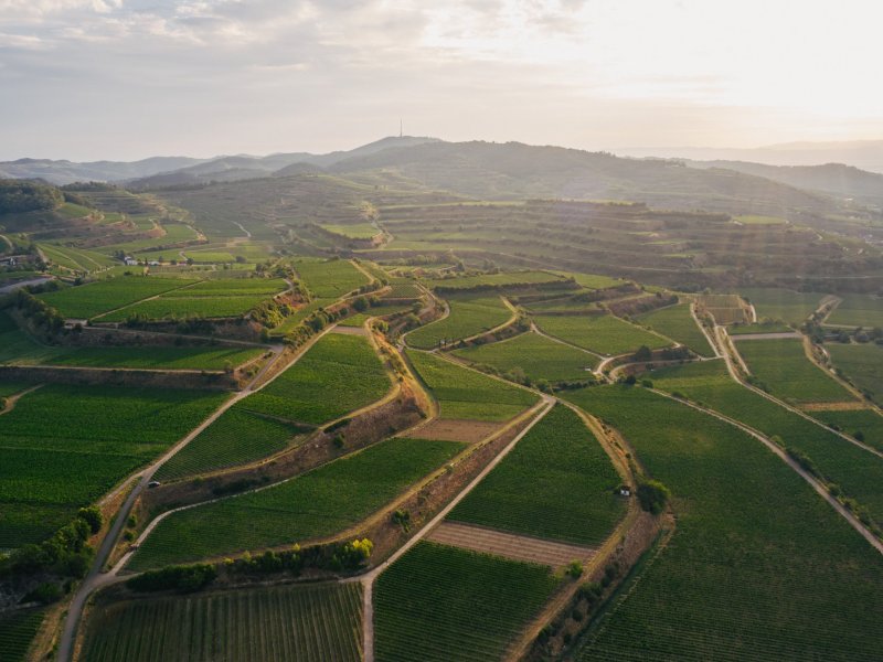 Weingut Dr. Heger