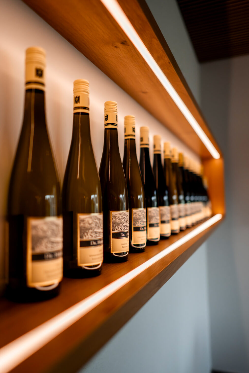 Foto 6 von Weingut Dr. Hermann