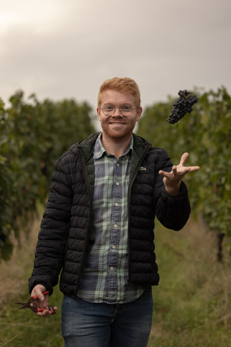 Foto 5 von Weingut Dr. Hinkel