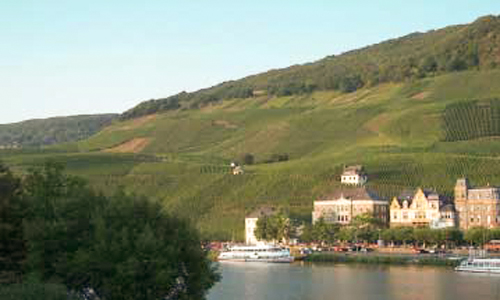 Foto 6 von Weingut Dr. Pauly-Bergweiler