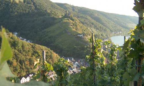 Foto 4 von Weingut Dr. Pauly-Bergweiler