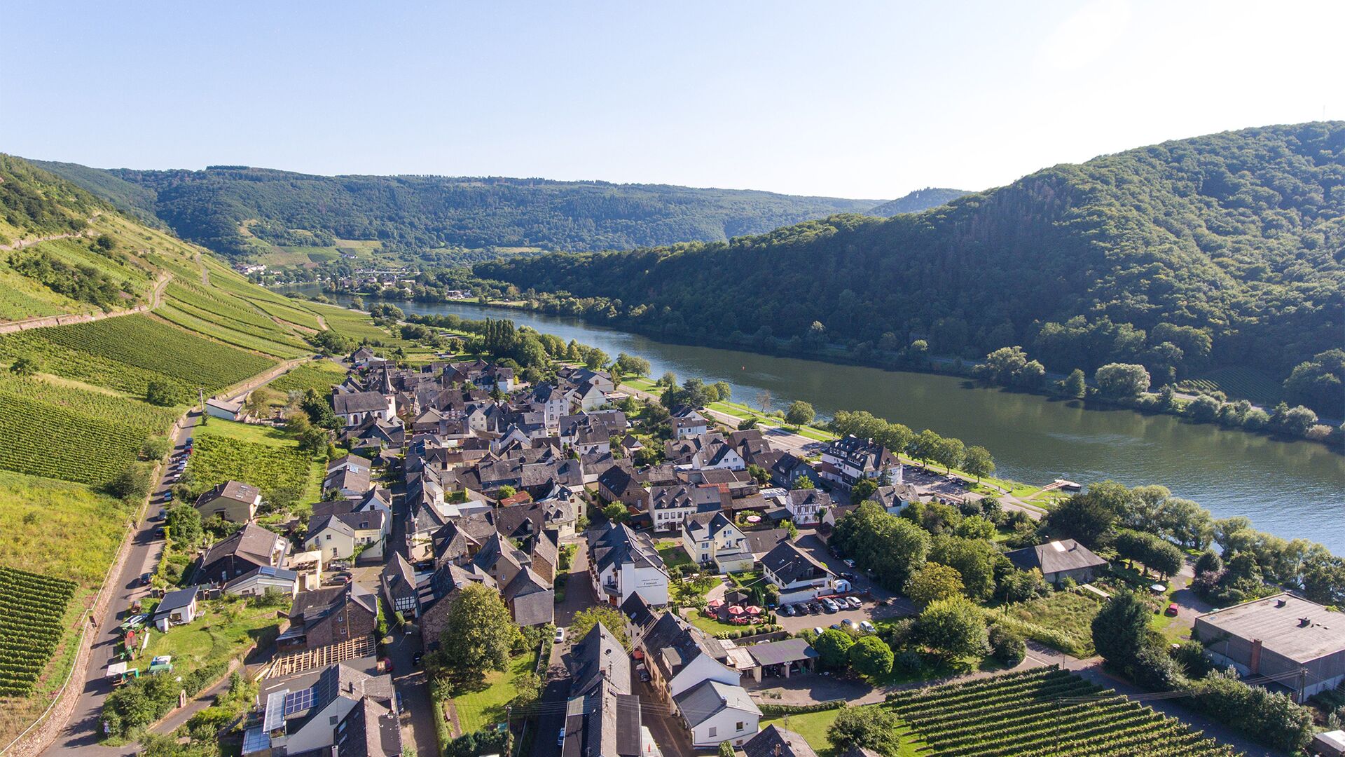 Foto 4 von Ferien-Weingut Pauly