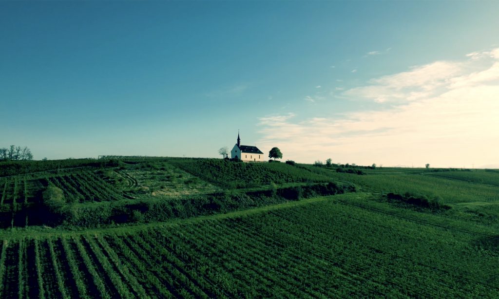 Photo 1 of Weingut Dr. Schreiber