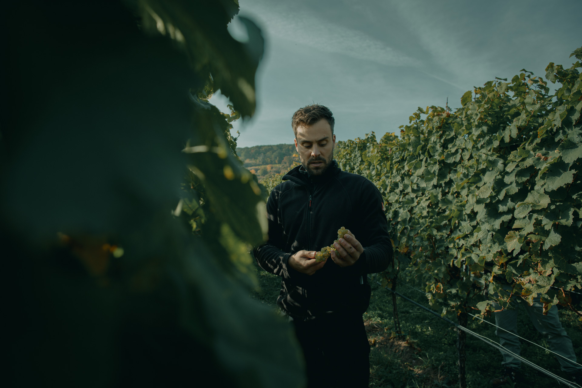Weingut & Edelobstbrennerei Burnikel