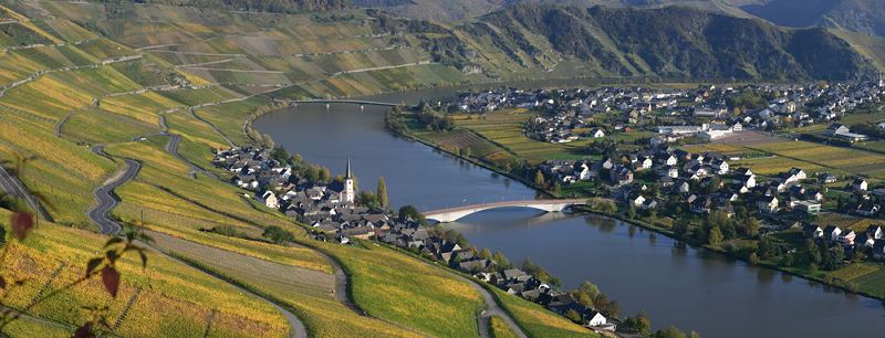 Ferien-Weingut - Weinversand Egon Spang