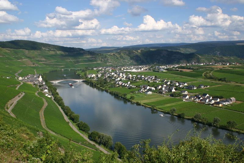 Foto 3 von Ferien-Weingut - Weinversand Egon Spang