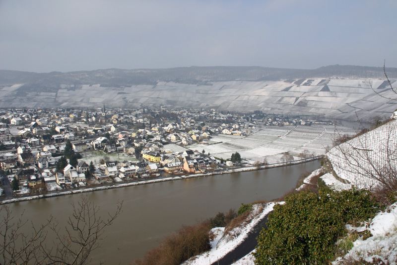 Foto 2 von Ferien-Weingut - Weinversand Egon Spang