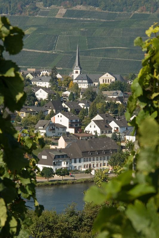 Foto 1 von Ferien-Weingut - Weinversand Egon Spang