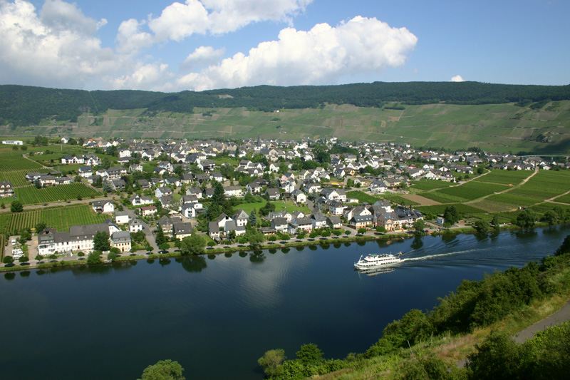 Foto 7 von Ferien-Weingut - Weinversand Egon Spang