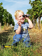 Foto 3 von Weingut Edgar und Doris Orben