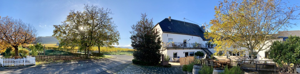 Weingut Edmund Löwen