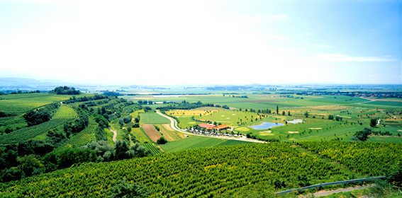 Foto 1 von Weingut Edwin Baumann