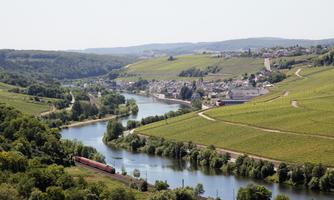 Фото 2 з Weingut Edwin Pauly