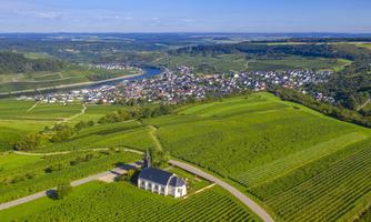 Фото 13 з Weingut Edwin Pauly