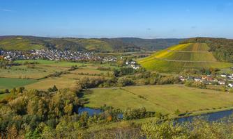 Фото 7 з Weingut Edwin Pauly