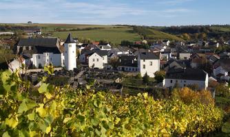 Фото 11 з Weingut Edwin Pauly