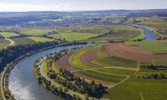 Фото 1 з Weingut Edwin Pauly