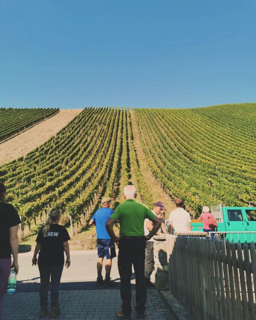 Foto 1 von Weingut Egon Schäffer