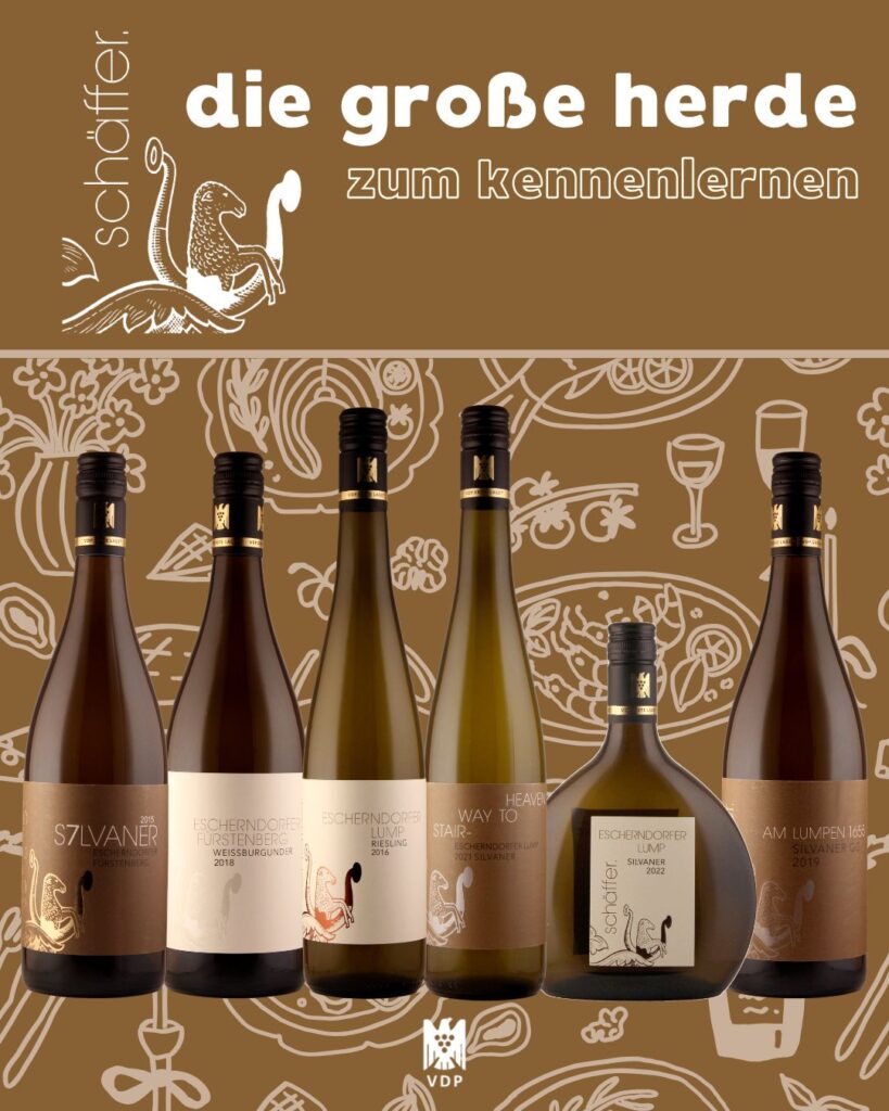 Foto 4 von Weingut Egon Schäffer