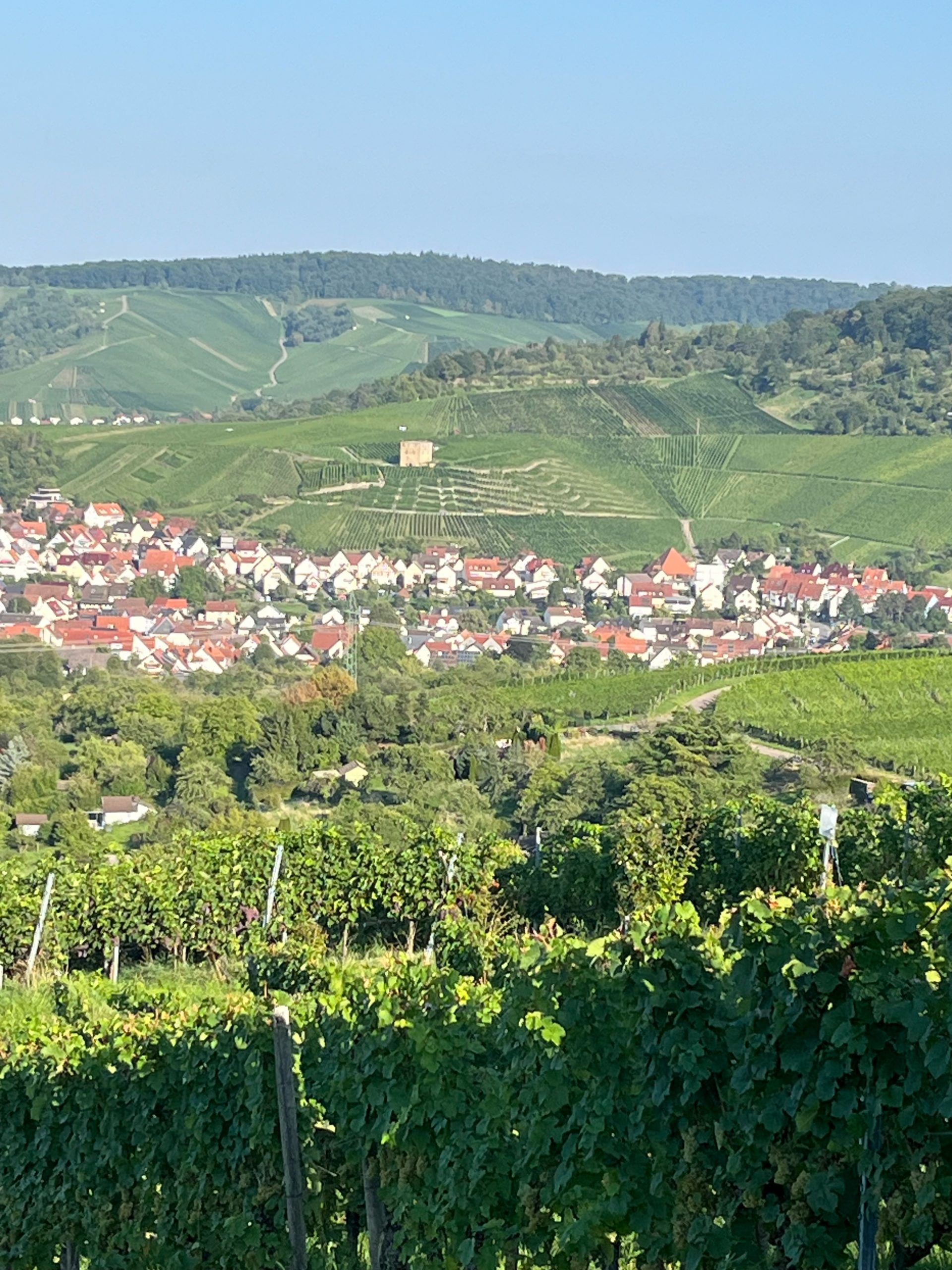 Foto 5 von Weingut Eißele