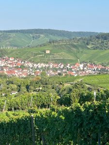 Foto 6 von Weingut Eißele