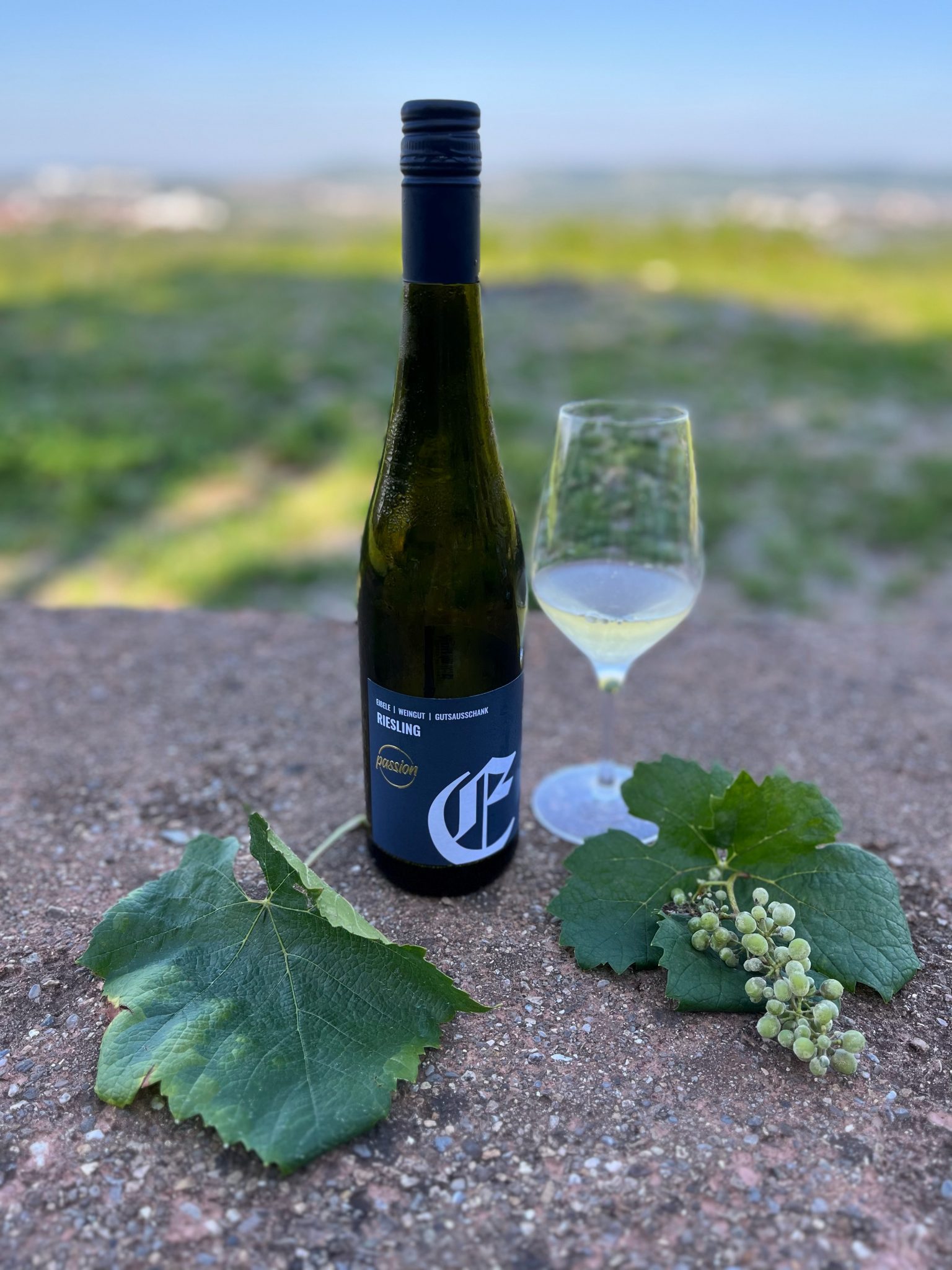 Foto 4 von Weingut Eißele