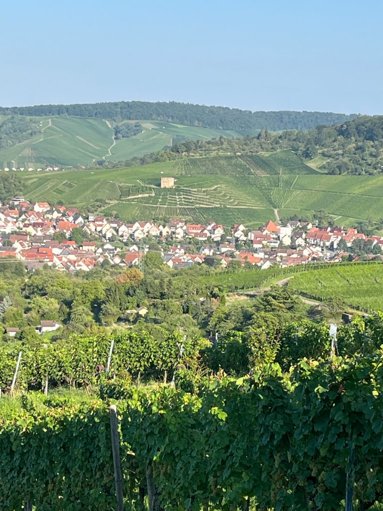 Foto 7 von Weingut Eißele
