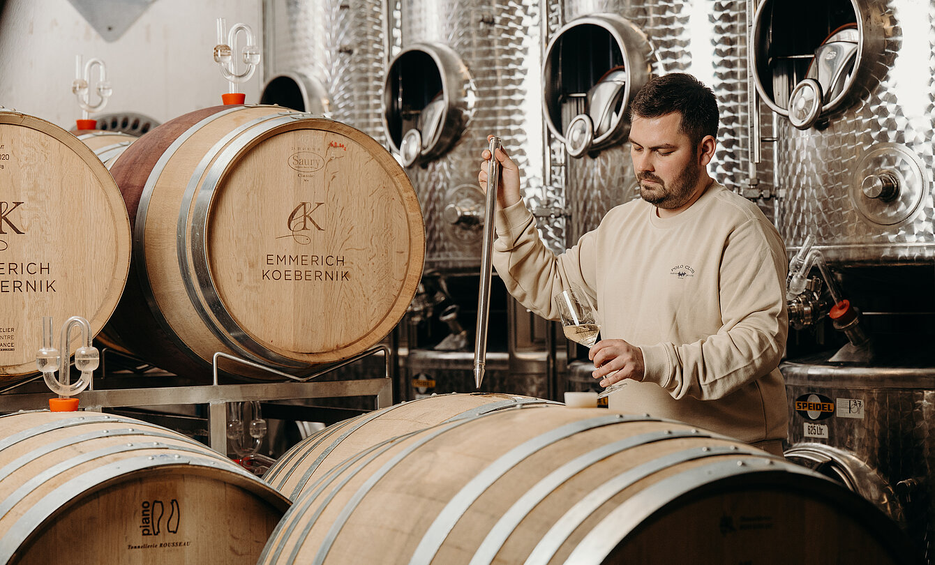 Foto 6 von Weingut Emmerich-Koebernik