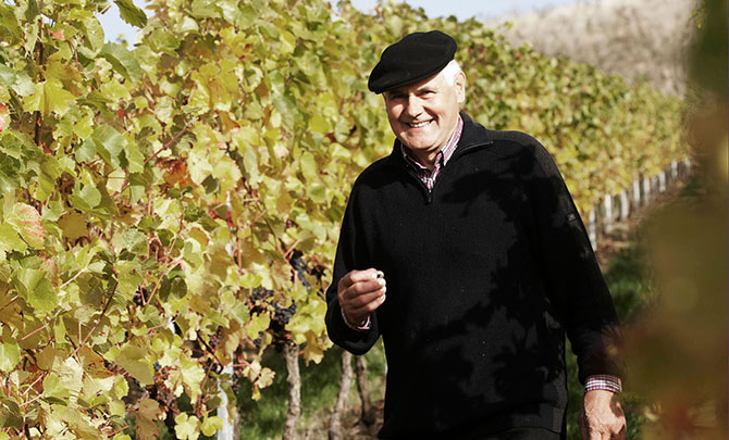 Foto 4 von Weingut Emmerich-Koebernik