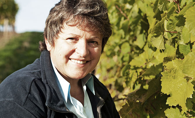 Foto 5 von Weingut Emmerich-Koebernik