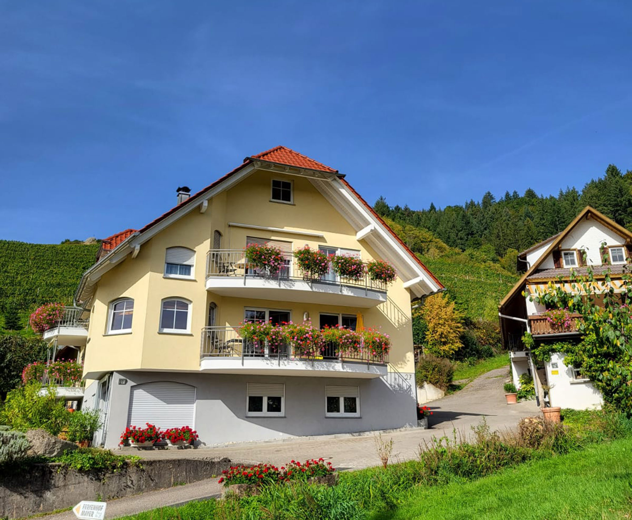 Ferienhof Mayer - Weingut in Baden