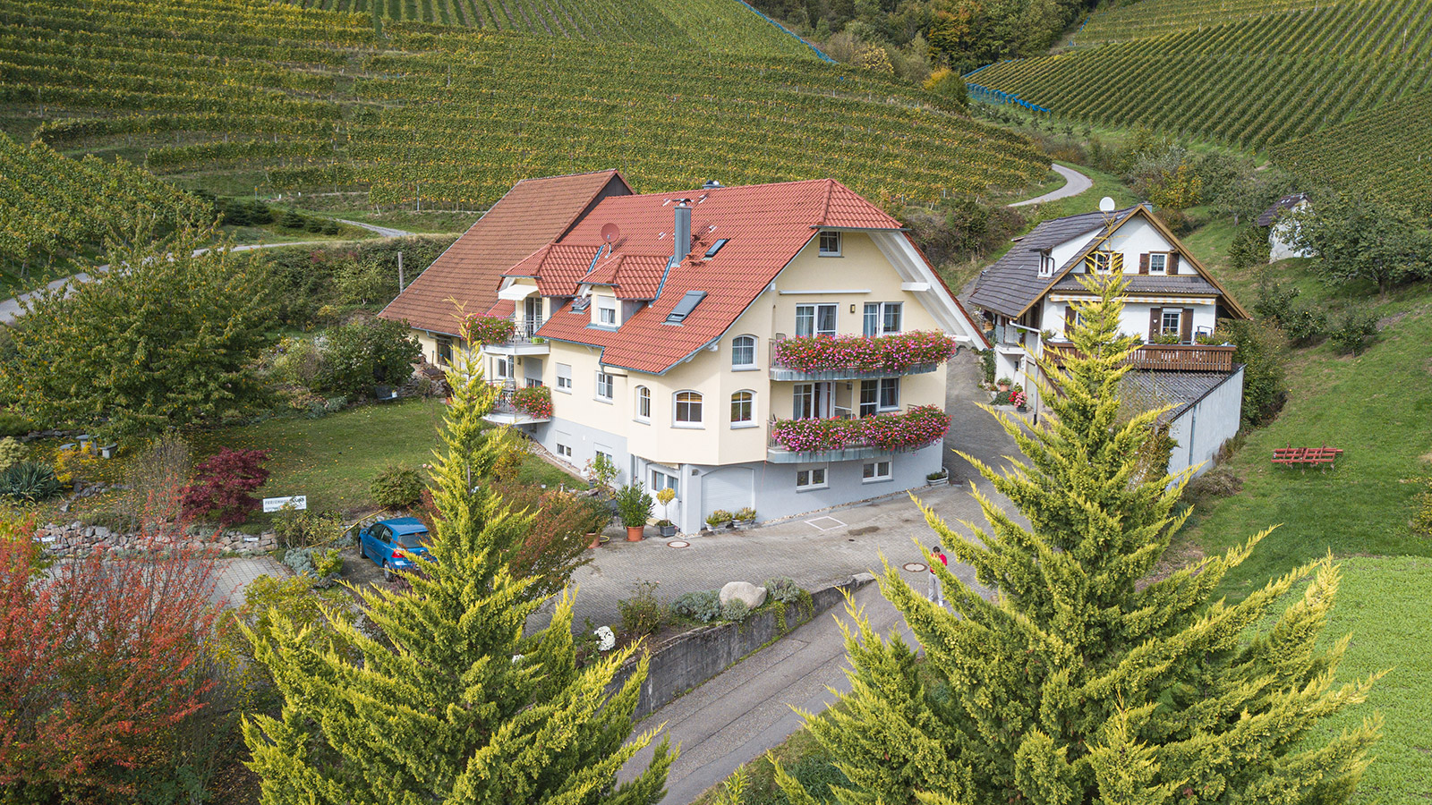 Foto 2 von Ferienhof Mayer - Weingut in Baden