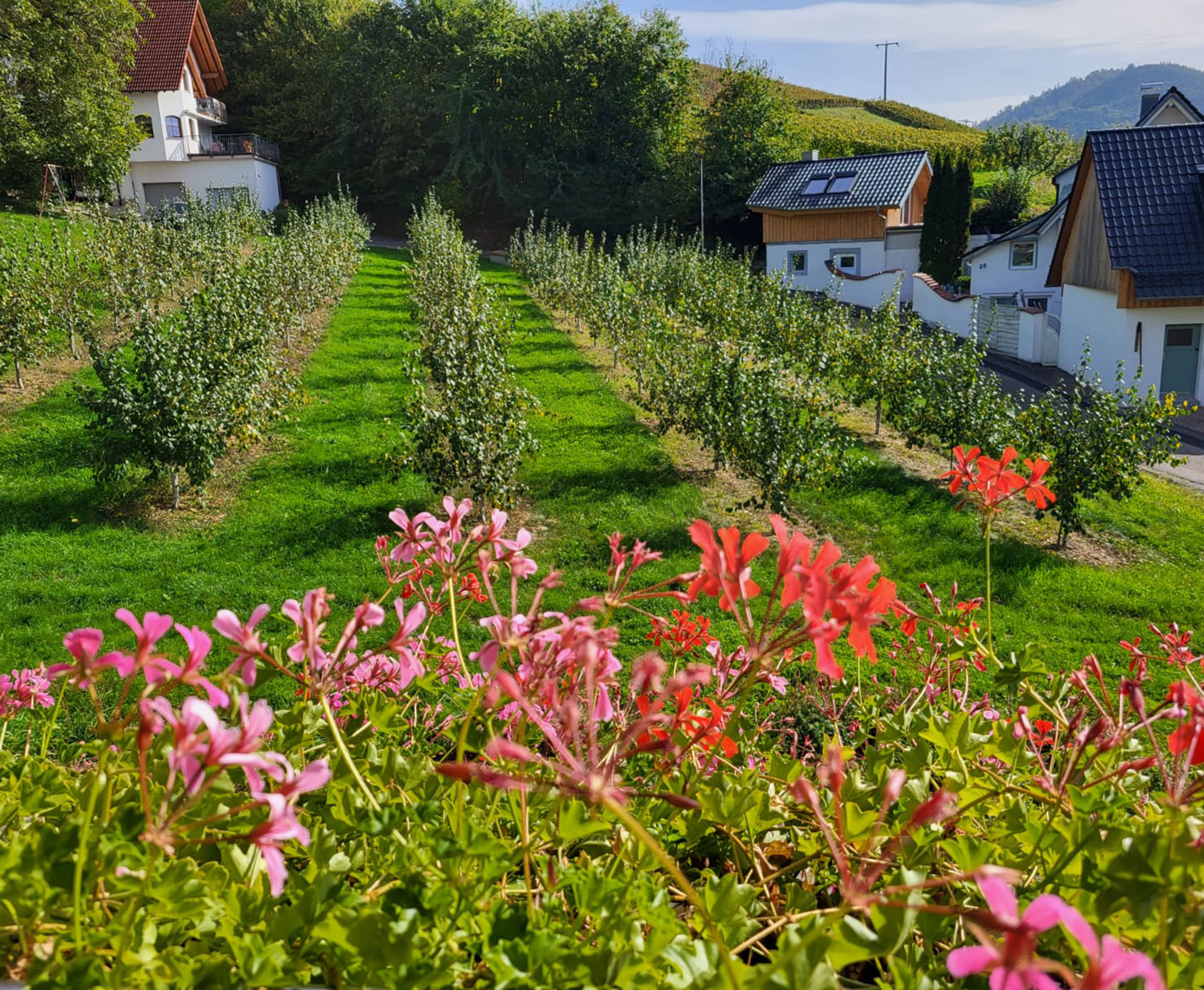Foto 1 von Ferienhof Mayer - Weingut in Baden