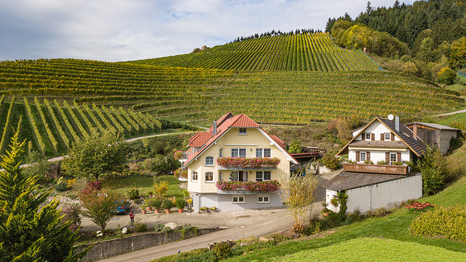 Foto 5 von Ferienhof Mayer - Weingut in Baden