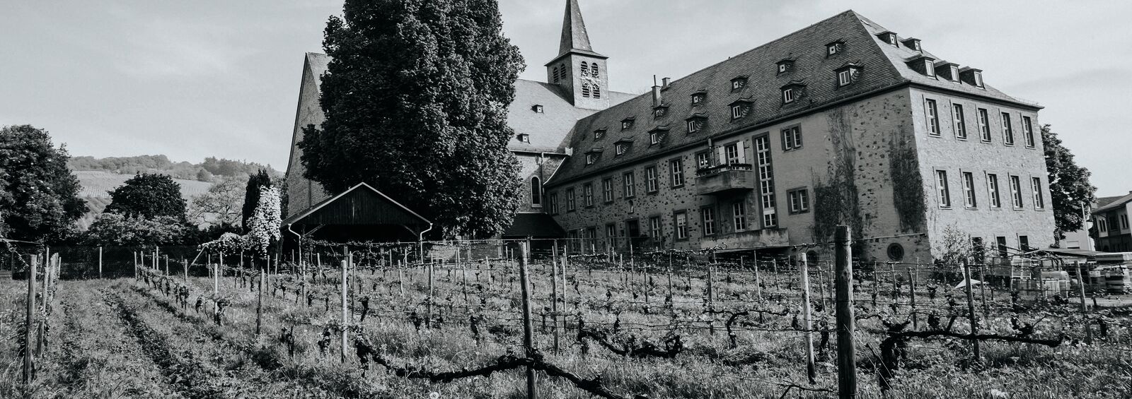 Bischöfliches Weingut Rüdesheim