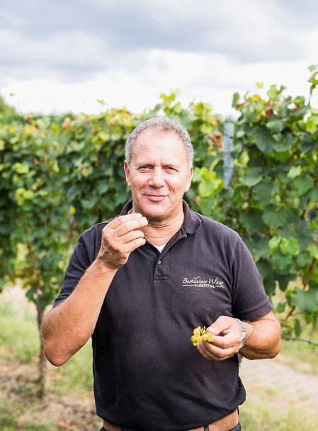 Foto 1 von Burkheimer Winzer am Kaiserstuhl eG