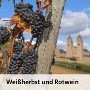 Foto 4 von Klosterweingut Abtei St. Hildegard