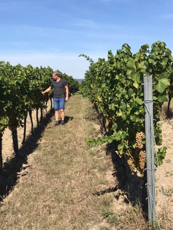Wein- und Sektgut Josef Müller & Sohn