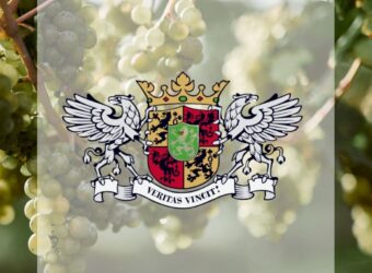 Photo 6 of Weingut Baron zu Knyphausen