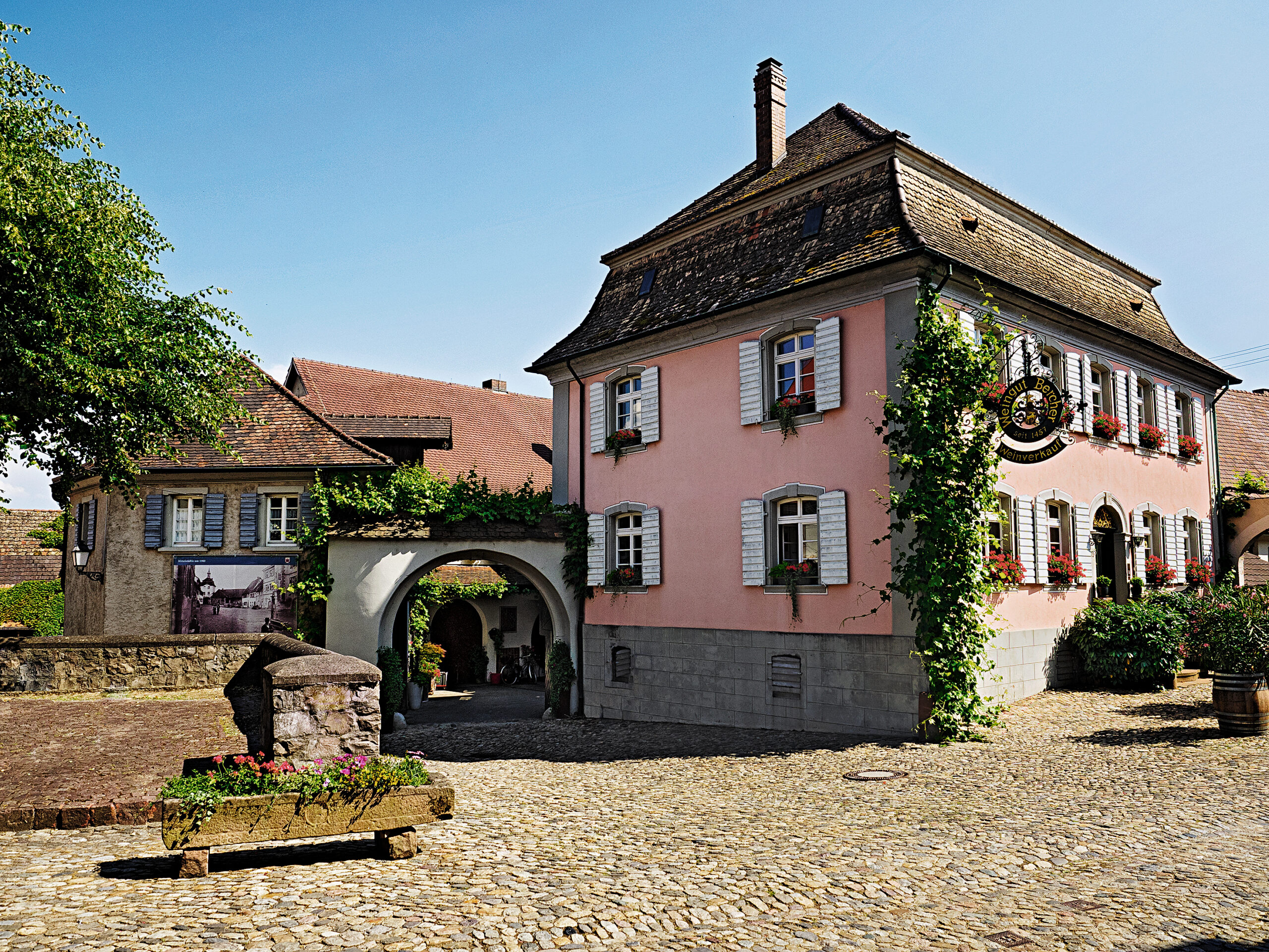 Weingut Bercher OHG