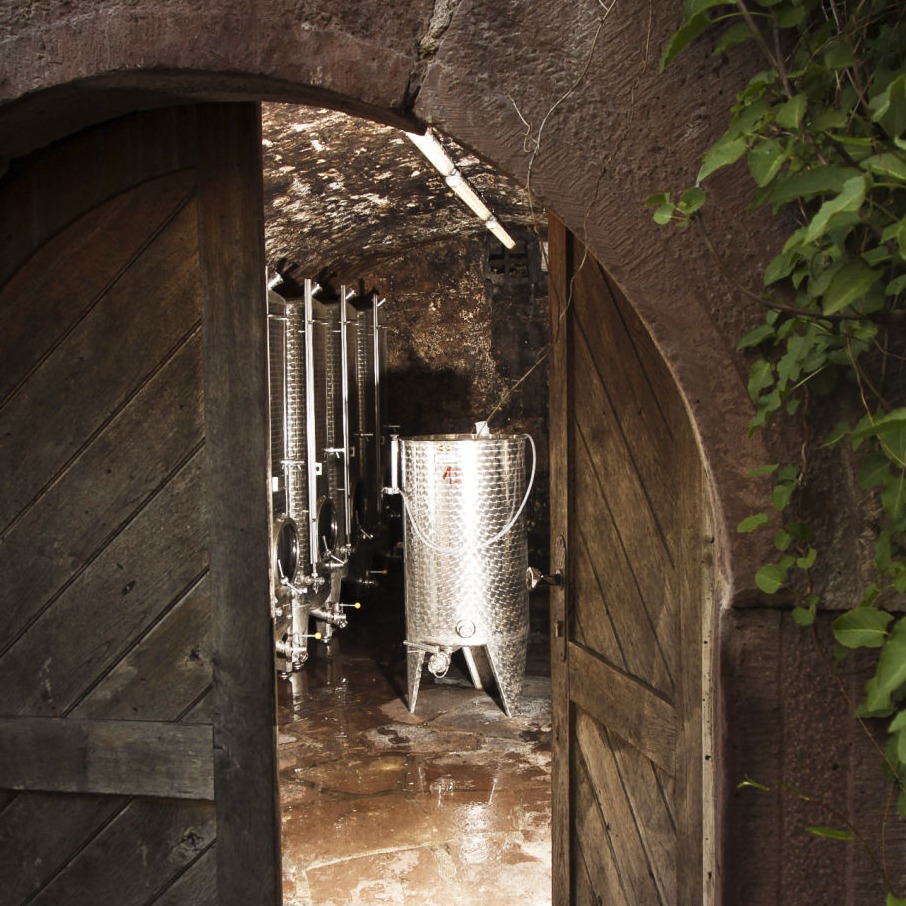 Foto 5 von Weingut Claus Bischoff