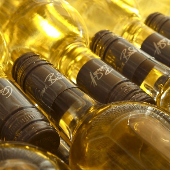 Foto 7 von Weingut Claus Bischoff