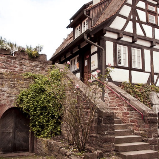 Foto 4 von Weingut Claus Bischoff