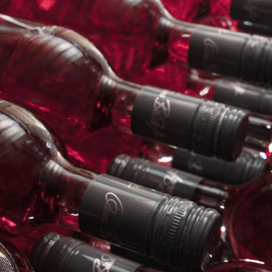Foto 6 von Weingut Claus Bischoff
