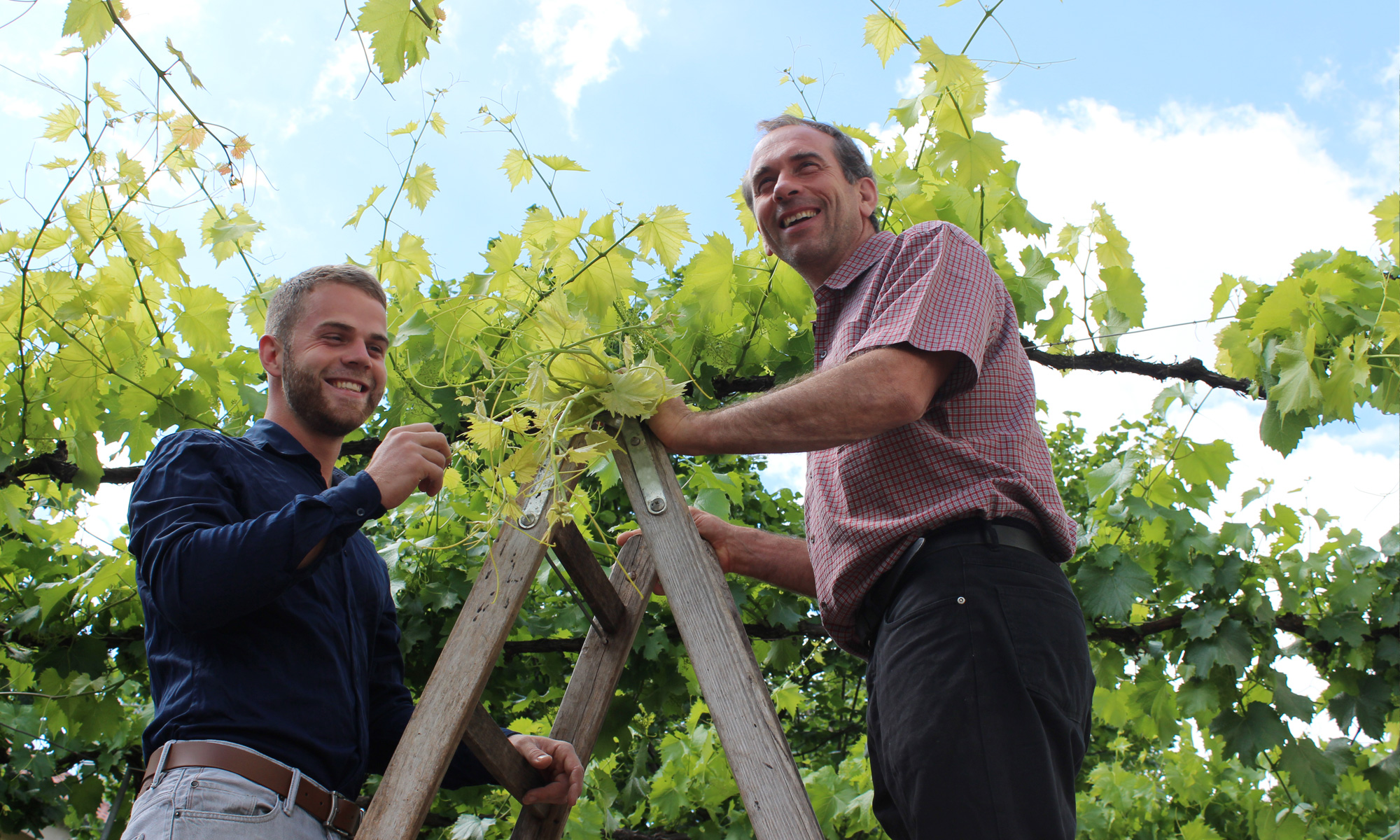 Weingut Dobler