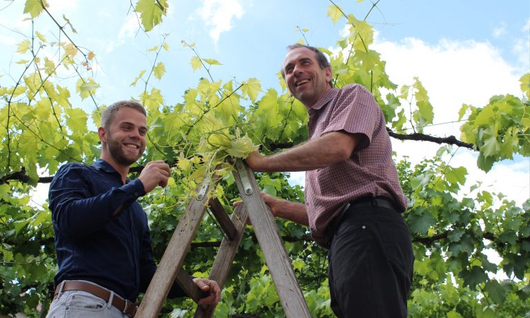 Foto 1 von Weingut Dobler