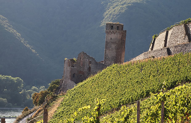 Foto 1 von Weingut Dr. Nägler