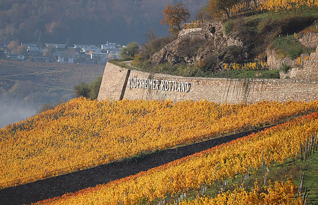 Foto 6 von Weingut Dr. Nägler